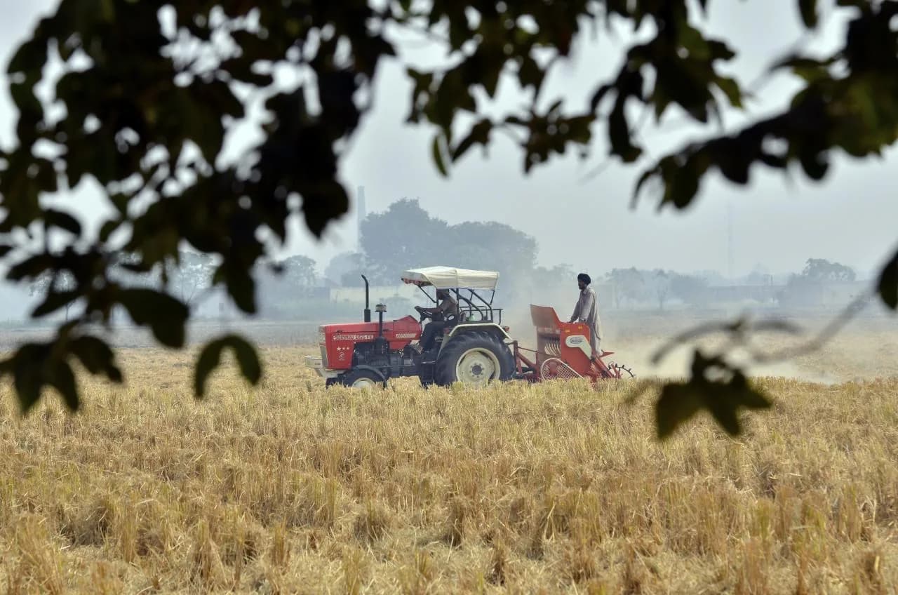 How India Became Food Secure